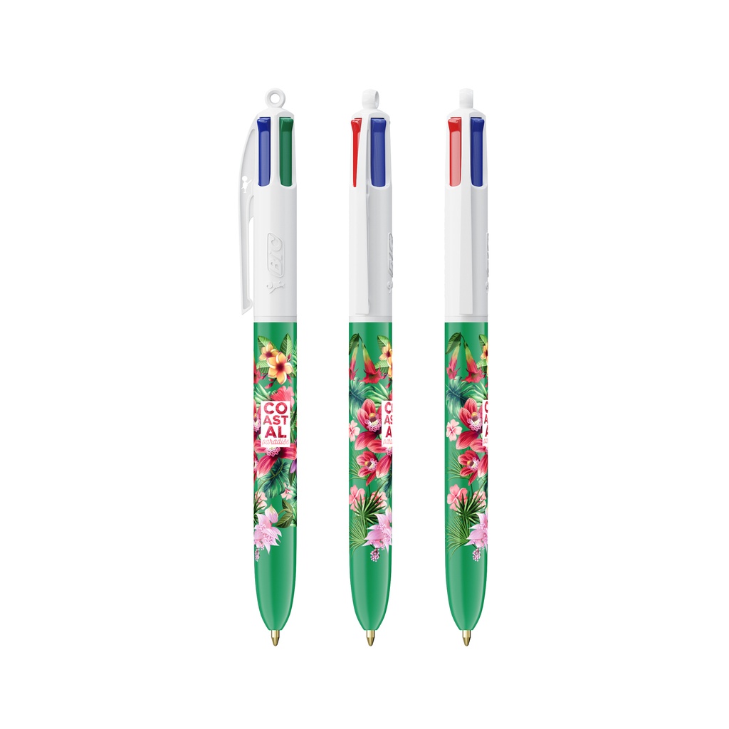 BIC 3